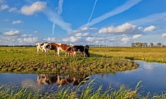 microfarm