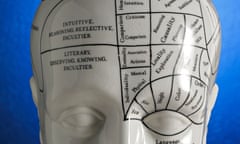 Close up of phrenology head diagram