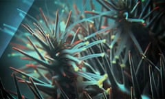 Crown of thorns starfish