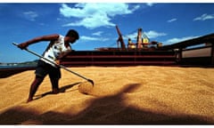 A worker moves soy beans