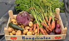 Vegetables grown at Hartlepool Team 34's allotment