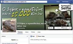 Sifis the crocodile's Facebook page