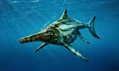 Ichthyosaur