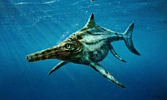 An artist's impression of Dearcmhara shawcrossi