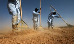 landmine detecting women rakes
