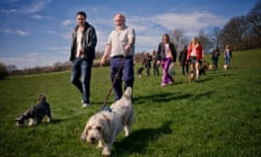 dog walkers in park
