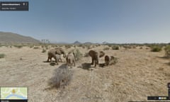 Google trekker elephants