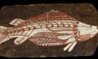  A bark painting of a barramundi, West Arnhem Land, about 1961, that will feature in an upcoming British Museum exhibition