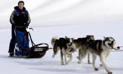 David Cameron drives a dog-sled on his way to the Scott-Turner glacier on the island of Svalbard, Norway, in 2006.