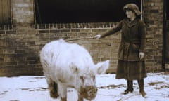 land girls