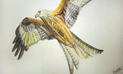 Artwork of a red kite