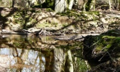 Reflections in calm water at Millyford.