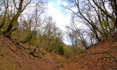 public footpath in Winterfold Wood, Surrey.