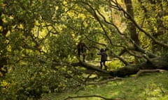 Two brothers play on a tree that was blown over in a storm on Hampstead Heath, London.