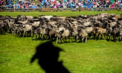 Wild horses charge into the central arena during the annual wild stallion capture at the Merfelder Bruch nature reserve, Germany.