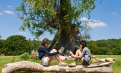 Two women reading on a tree trunk.