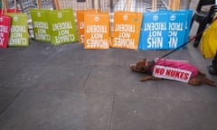 A dog wearing a small "No Nukes" placard lies down in front of a row of CND anti-Trident placards at a rally at the Ministry of Defence, calling for the UK government to scrap the ageing Trident nuclear deterrent.