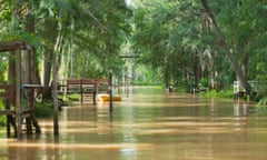 Tigre, Paraná Delta, Argentina. Photograph: M G Therin Weise/Getty Images