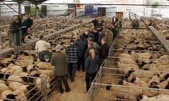 Around Britain with a fork - Melton Mowbray Market