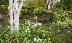 John Massey's canal-side garden in the Midlands