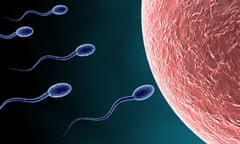 Transgender journey: sperm