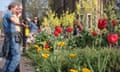 A guerrilla garden in Elephant and Castle, London Photograph: Richard Reynolds