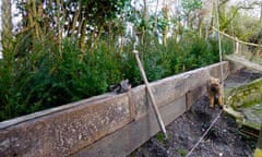 Retaining sleepers being installed in Catharine Howard's garden