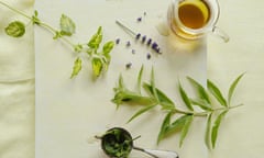 10 best herb MAIN PIC: Lemon verbena, lemon balm and lavender tea