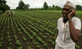 A farmer ploughs his fields, India