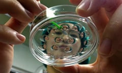 A researcher in a laboratory seen through a petri dish