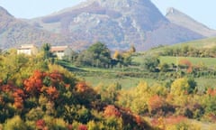 A taste of Italy at harvest time