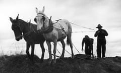 Farmers with mules in 1930s prepare the ground for spring planting.