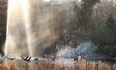 Canada geese fly past the fountain and frozen trees on Duck Island in St James's Park