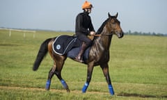 Carlton House, the favourite for the Derby, returns to the stables after a gallop up Warren Hill