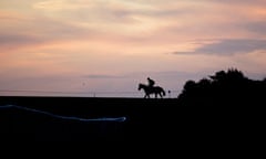 Frankel Gallop