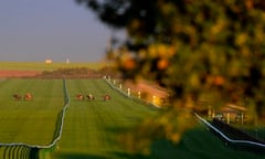 Newmarket Gallops