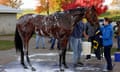 American Pharoah washed down