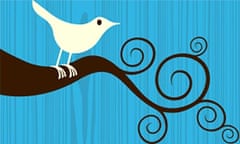 Twitter bird