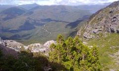 View from Mount Murchison