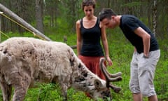 Caribou in Quebec