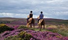 Trail England's forests 2: Horse Riding in the Quantock Hills Somerset England