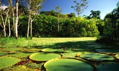 Amazon river in Brazil