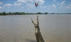 Jumping crocodile, Australia