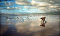 Beachcombing at Westward Ho! Devon