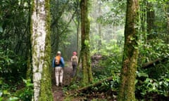 Tourists hiking in a forest in Suriname