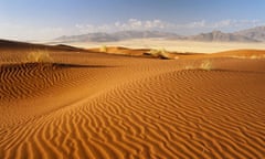 Namib Rand game reserve, Namib Naukluft Park, Namibia, Africa