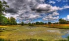 Picture-mapping the British summer: Charlecote park, England