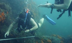 Diving in Oman