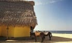 Mexico: donkeys outside beach restaurant