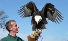 Bill the bald eagle, and John the keeper, at Trotters World of Animals